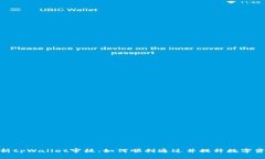 : 深入解析tpWallet审核：如何顺利通过并提升数字