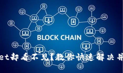 提币到tpWallet却看不见？教你快速解决并确保资金安全