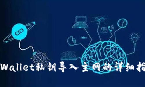 tpWallet私钥导入主网的详细指南