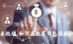 tpWallet的未来规划：如何在数字钱包领域取得突破