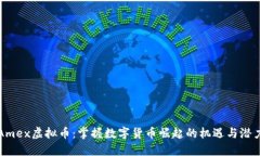 Amex虚拟币：掌握数字货币崛起的机遇与潜力