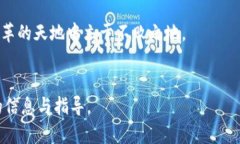 tiaoti虚拟币了解全攻略：从基础知识到投资策略