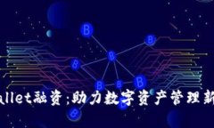 tpWallet融资：助力数字资产管理新生态