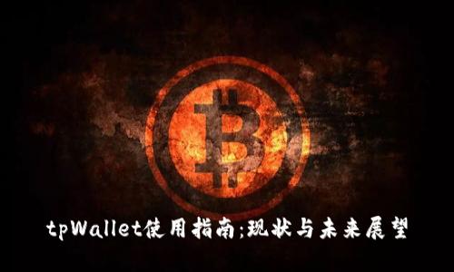 tpWallet使用指南：现状与未来展望
