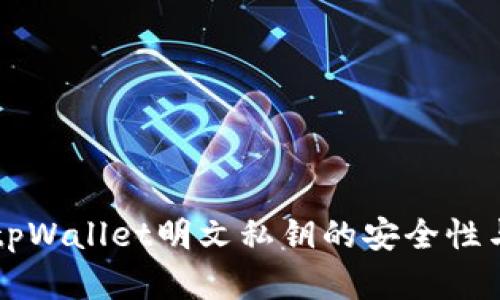 深入解析tpWallet明文私钥的安全性与使用方法