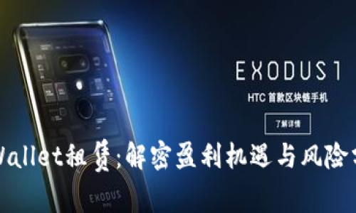tpWallet租赁：解密盈利机遇与风险分析