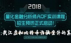 深入分析：武汉虚拟比特币诈骗案件的真相与教