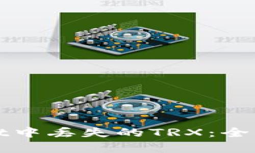 如何找回tpWallet中丢失的TRX：全面指南与解决方案