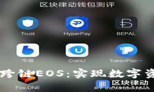 深入解读tpWallet跨链EOS：实现数字资产无缝转移的未来