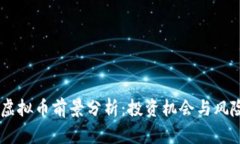 SHIB虚拟币前景分析：投资机会与风险评估