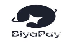 以太经典TPWallet：全方位的数字资产管理工具