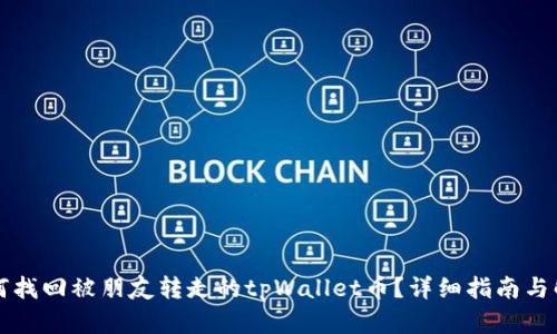 如何找回被朋友转走的tpWallet币？详细指南与解析