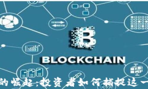 
比特币虚拟财富的崛起：投资者如何捕捉这一数字黄金的机会