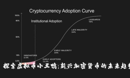 : 探索虚拟币小丑鸭：新兴加密货币的未来趋势