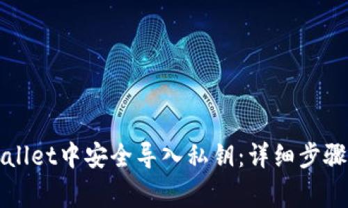 如何在tpWallet中安全导入私钥：详细步骤与注意事项