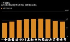 全面解析：DXB虚拟币的崛起与前景展望