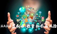 掌握HAHA虚拟币：投资机会与风险分析
