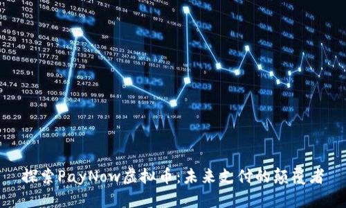 探索PayNow虚拟币：未来支付的颠覆者